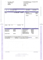 Sage Mailer Laser